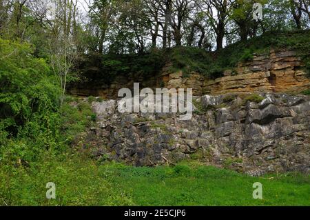L'inconformité de la Beche à Vlis Vale, Somerset, montrant des couches horizontales de roches sédimentaires jaunes - calcaire oolitique - reposant sur TI Banque D'Images