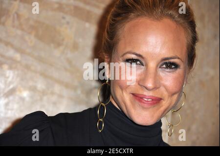 Maria Bello participe au 12ème Gala annuel des prix du Hollywood film Festival qui s'est tenu à l'hôtel Beverly Hilton de Los Angeles, CA, USA le 27 octobre 2008. Photo de Lionel Hahn/ABACAPRESS.COM Banque D'Images