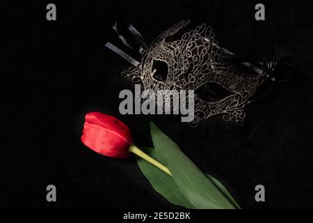 Masque vénitien avec tulipe rouge dans un environnement sombre et éclairé de manière suggestive. Mystérieux concept d'amour, jour de San Valentin. Banque D'Images