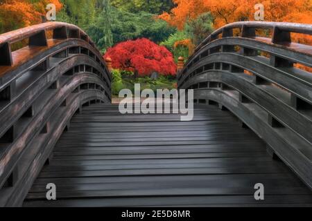 Couleurs d'automne éclatantes parmi les arbres du jardin japonais de l'île Tsuru à Gresham, Oregon. Banque D'Images