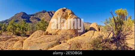 Boulders géant, zone de loisirs Granite Basin, Prescott National Forest, Arizona, États-Unis Banque D'Images