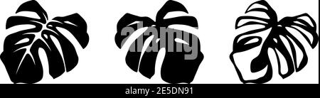 Ensemble de silhouettes noires de feuilles de monstères tropicales isolées sur fond blanc. Illustration vectorielle. Illustration de Vecteur