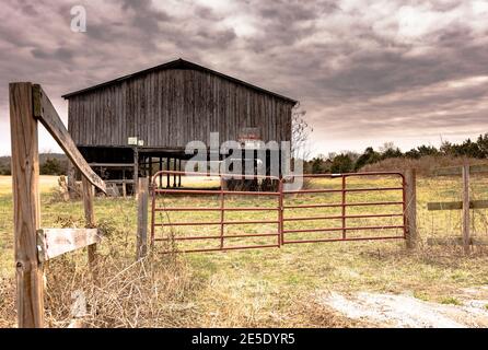 Tennessee, États-Unis - 3 février 2017 : une ancienne grange traditionnelle de séchage du tabac dans la campagne du Tennessee. Banque D'Images