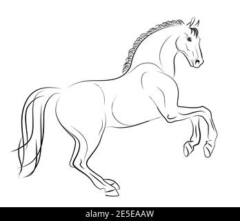 Beau cheval de course pur-sang. Dessin vectoriel. Esquisse en noir et blanc. Illustration de Vecteur