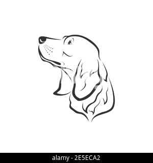 Vecteur d'une tête de chien (Golden Retriever) sur fond blanc. Animaux de compagnie. Illustration vectorielle superposée facile à modifier. Animaux. Illustration de Vecteur