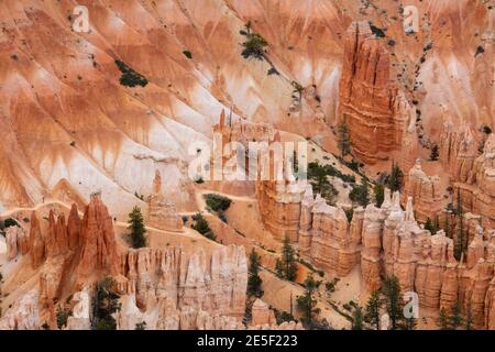 Bryce Point, Bryce Canyon National Park, Utah Banque D'Images