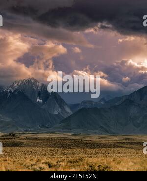 Les nuages de tempête, McGee Canyon, Mont Morrison, Inyo National Forest, l'Est de la Sierra, en Californie Banque D'Images