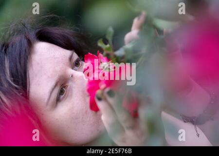 Portrait d'une belle jeune femme excentrique à cheveux foncés, son nez coincé profondément dans des roses rouges parfumées qui poussent dans le jardin du parc Banque D'Images