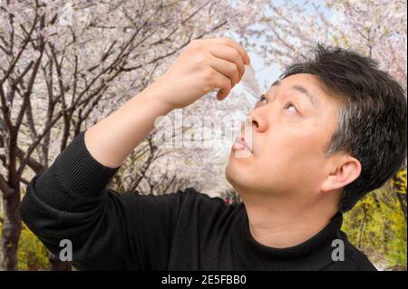 Homme asiatique d'âge moyen utilisant des gouttes oculaires près des arbres en fleurs. Concept d'allergie. Banque D'Images