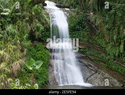 Une petite cascade entre les montagnes et la forêt. Thé, bambou, arbre de noix de bétel, migration d'Egret de bétail, le comté de Chiayi Meishan caractéristiques du canton, Banque D'Images