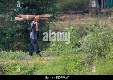 Homme en costume de coton bleu traditionnel carring planches de bois coupées sur son épaule, Dongzhai, province de Henan, Chine 23 juin 2016 Banque D'Images