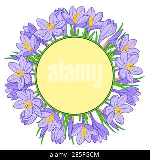 Cadre vectoriel avec fleurs de crocus bleues sur fond blanc Illustration de Vecteur