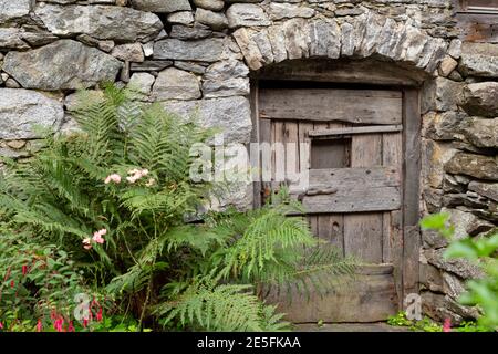 Vue de face d'une ancienne maison en pierre avec une énorme petite porte et fougère en bois Banque D'Images