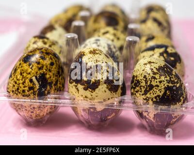 Caille les œufs dans un récipient en plastique transparent sur fond rose Banque D'Images