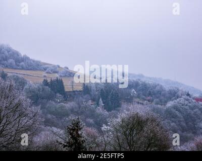 Paysage vallonné - brouillard givrant couvre les arbres avec de la glace et crée une paroi blanche opaque sur l'horizon Banque D'Images