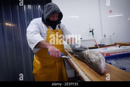 Un membre du personnel de Midland Fish à Fleetwood coupe un poisson alors qu'il le prépare à la vente sur les quais de Fleetwood, dans le Lancashire. L'introduction de nouveaux contrôles et de nouvelles formalités depuis la fin de la période de transition du Brexit le 31 décembre a causé d'énormes perturbations aux exportations de poisson et de fruits de mer frais vers l'UE, les producteurs devenant de plus en plus frustrés par l'absence d'action gouvernementale. Date de la photo: Jeudi 28 janvier 2021. Banque D'Images