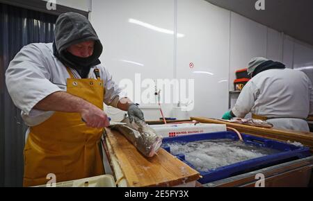 Un membre du personnel de Midland Fish à Fleetwood coupe un poisson alors qu'il le prépare à la vente sur les quais de Fleetwood, dans le Lancashire. L'introduction de nouveaux contrôles et de nouvelles formalités depuis la fin de la période de transition du Brexit le 31 décembre a causé d'énormes perturbations aux exportations de poisson et de fruits de mer frais vers l'UE, les producteurs devenant de plus en plus frustrés par l'absence d'action gouvernementale. Date de la photo: Jeudi 28 janvier 2021. Banque D'Images
