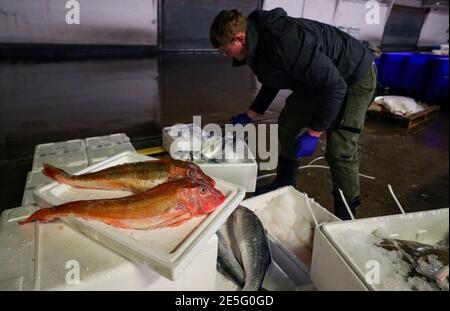 Un membre du personnel de Midland Fish à Fleetwood prépare le poisson à la vente sur les quais de Fleetwood, dans le Lancashire. L'introduction de nouveaux contrôles et de nouvelles formalités depuis la fin de la période de transition du Brexit le 31 décembre a causé d'énormes perturbations aux exportations de poisson et de fruits de mer frais vers l'UE, les producteurs devenant de plus en plus frustrés par l'absence d'action gouvernementale. Date de la photo: Jeudi 28 janvier 2021. Banque D'Images