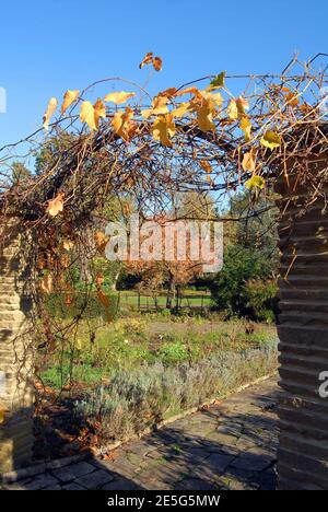 Peckham Rye Park Banque D'Images