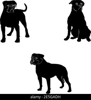 Chien, bulldog en mouvement, bulldog américain différentes poses, noir Illustration de Vecteur