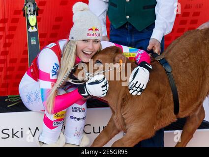 Lindsey Vonn of the U.S. poses for photographers with a cow she won as a prize after finishing first in the women's World Cup Downhill skiing race in Val d'Isere, French Alps, December 20, 2014.  REUTERS/Robert Pratta   (FRANCE - Tags: SPORT SKIING ANIMALS)