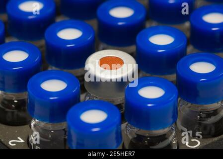 Chromatographe en phase liquide haute performance, HPLC, flacons en verre dans le portoir. Recherche et développement de produits pharmaceutiques et de vaccins. Banque D'Images