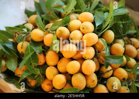 Un bouquet de fruits thaïlandais de Longan sur un arbre Banque D'Images