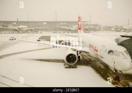 Zurich, Suisse - 15 janvier 2021 : arrêt de l'avion en raison de chutes de neige à l'aéroport de Zurich en Suisse Banque D'Images