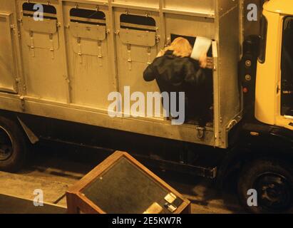 L'agent des douanes qui s'est chargé de l'enregistrement au dos du camion dans la zone douanière du port de Douvres, Kent, Angleterre du Sud-est, années 1980 Banque D'Images