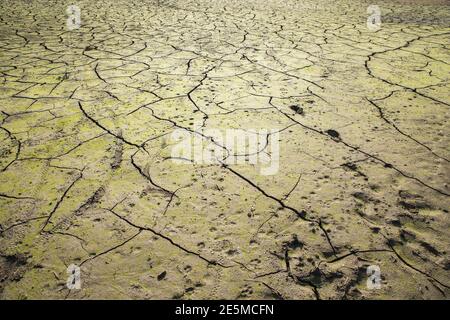 Texture de la terre de sécheresse, étés secs, sol craqué, sol sur le terrain, terre craquée floue. Concept de réchauffement de la planète et d'effet de serre. Banque D'Images