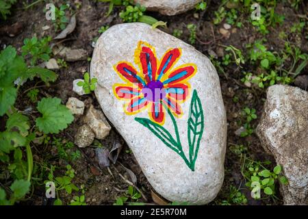 Galets avec une fleur peinte sur le fond d'un jardin écologique coopératif et communautaire. Photo de haute qualité Banque D'Images