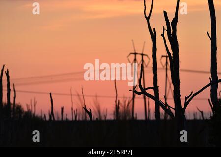 Pembroke Pines, Floride, États-Unis. 27 janvier 2021. Le soleil se couchant aux abords des Everglades, au milieu de la première pleine lune de 2021, connue sous le nom de « Lune des loups », le 27 janvier 2021, à Pembroke Pines, en Floride. Crédit : Mpi10/Media Punch/Alamy Live News Banque D'Images