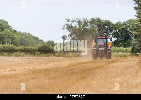 Woodbridge, Suffolk, Royaume-Uni août 02 2020 : la moissonneuse-batteuse récolte du blé mûr - agriculture, agriculture, alimentation, concept de récolte Banque D'Images