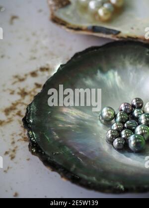 Perles noires, de yeallow et blanches originales en coquilles d'huîtres. Gros plan. Banque D'Images