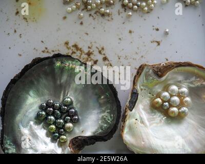 Perles noires, de yeallow et blanches originales en coquilles d'huîtres. Gros plan. Vue aérienne. Banque D'Images