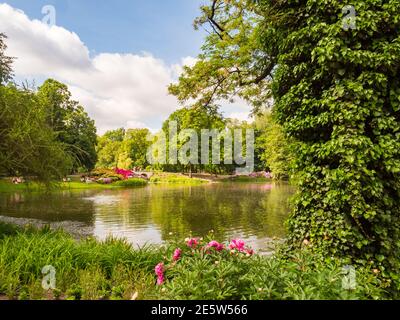 Varsovie, Pologne - 01 juin 2019 : vue sur l'étang du parc Royal Bath avec de belles fleurs romantiques, du rhododendron et un petit pont blanc pendant la spr Banque D'Images