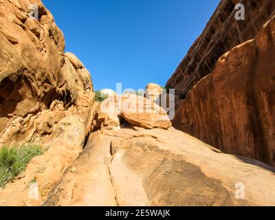 Le sentier escarpé qui monte sur une nageoire en grès fait partie du sentier de randonnée Devils Garden dans le parc national des Archers, Utah Banque D'Images