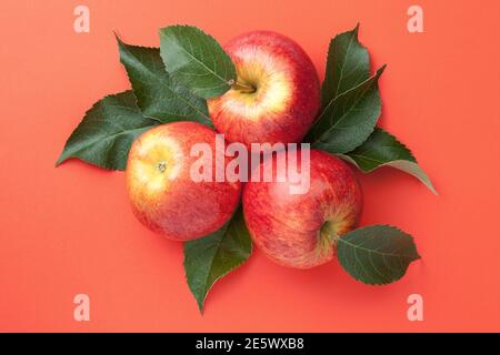 Pommes rouges avec feuilles sur fond de papier. Composition de pommes Gala. Vue de dessus Banque D'Images