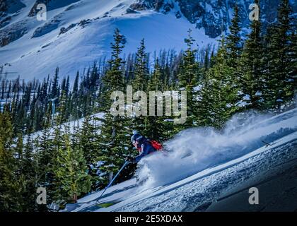 Ski de fond Alberta. Canada Banque D'Images