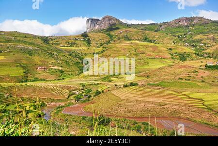 Paysage typique de Madagascar - des champs de terrasse de riz vert et jaune sur de petites collines avec des maisons en argile dans la région d'Andringitra près de Sendrisoa Banque D'Images