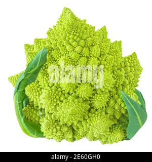 Brocoli romanesco ou chou-fleur romain isolé sur fond blanc. Concept alimentaire végétalien. Banque D'Images