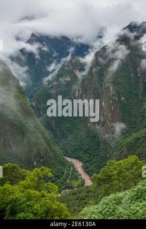 Forêt tropicale des Andes et rivière Vilcanota de Machu Picchu, Pérou. Le Vilcanota est également connu sous le nom de rivière Urubamba. Banque D'Images