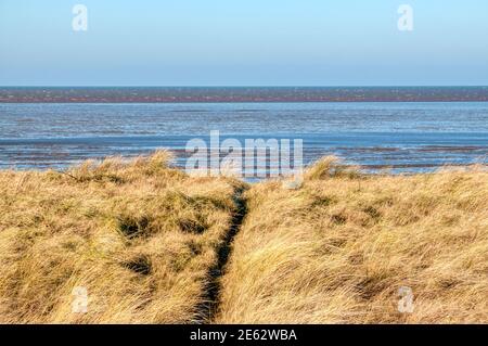 Un chemin à travers l'herbe jusqu'à la rive est du Wash en hiver, entre Snettisham et la plage de Heacham à Norfolk. Banque D'Images