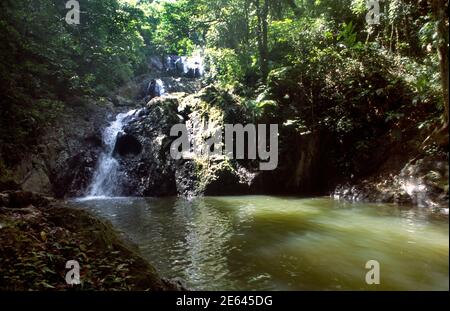 Cascade de Tobago Argyll Falls Banque D'Images