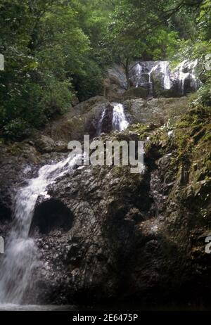 Tobago Argyll Falls Banque D'Images