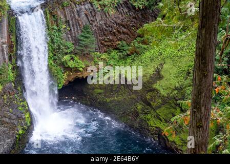 Belle vue sur les chutes de Toketee dans le sud de l'Oregon Banque D'Images