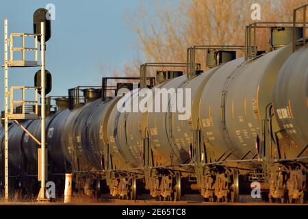 Bartlett, Illinois, États-Unis. Un train pétrolier du canadien National se dirigeant vers le nord au-dessus d'un croisement protégé par des signaux dans toutes les directions. Banque D'Images