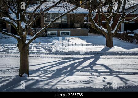 Ontario,Canada, 2017 - scène hivernale d'un quartier résidentiel avec des maisons enneigées, des arbres et des routes après une chute de neige Banque D'Images