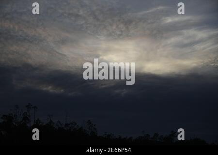Ciel sauvage en soirée sur les arbres de la forêt Banque D'Images