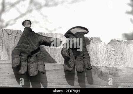 Une paire de gants de jardinage suspendus sur une clôture au soleil pour sécher. Banque D'Images